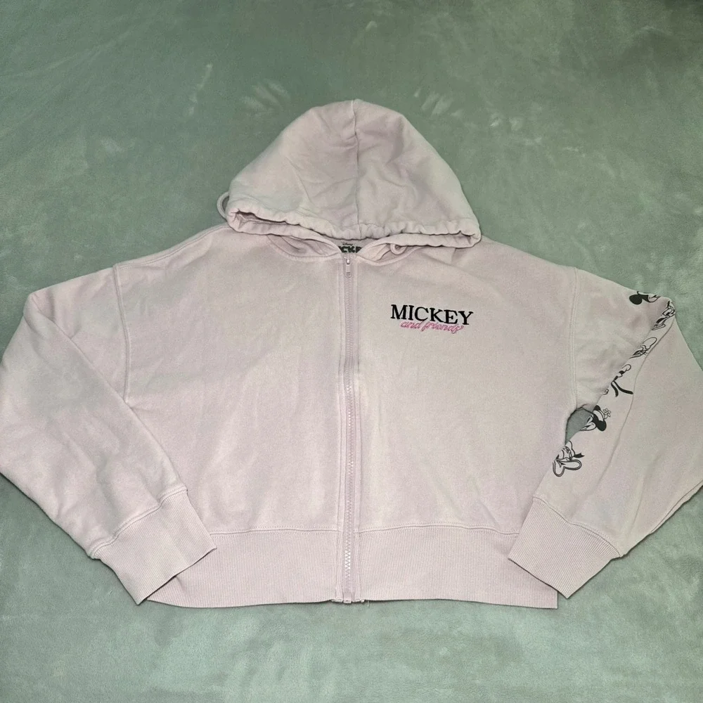 Disney Mickey and Friends Girl's Pink Crop Zip Up Hoodie Character Graphic Large